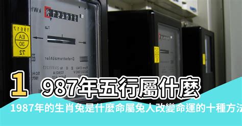 1987年屬什麼生肖|1987年屬兔是什麼命？最全兔命命相批註！